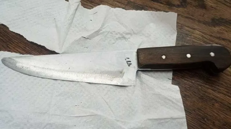 Frente de la Escuela San Martín en la ciudad de Santo Tomé, provincia de Santa Fe.