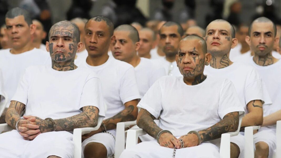 Pandilleros de la MS-13 en el Centro de Confinamiento Contra el Terrorismo durante un juicio virtual en El Salvador