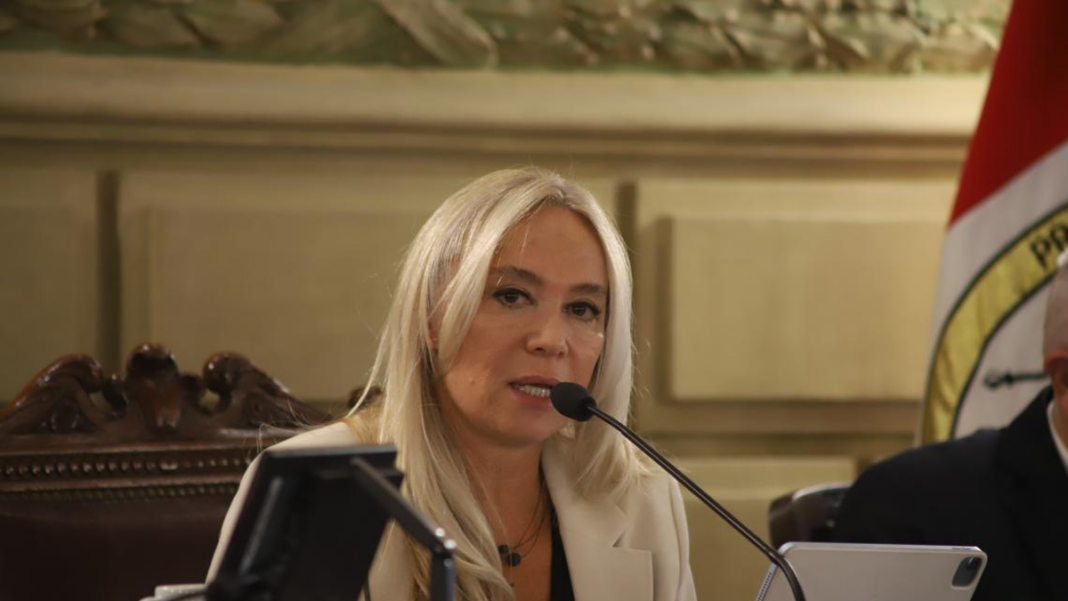 María Cecilia Vranicich durante la presentación del informe del MPA en el Senado de Santa Fe