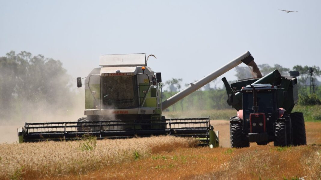 Gráfico de barras que muestra la evolución del Estimador Mensual de Actividad Económica (EMAE) con caída en febrero