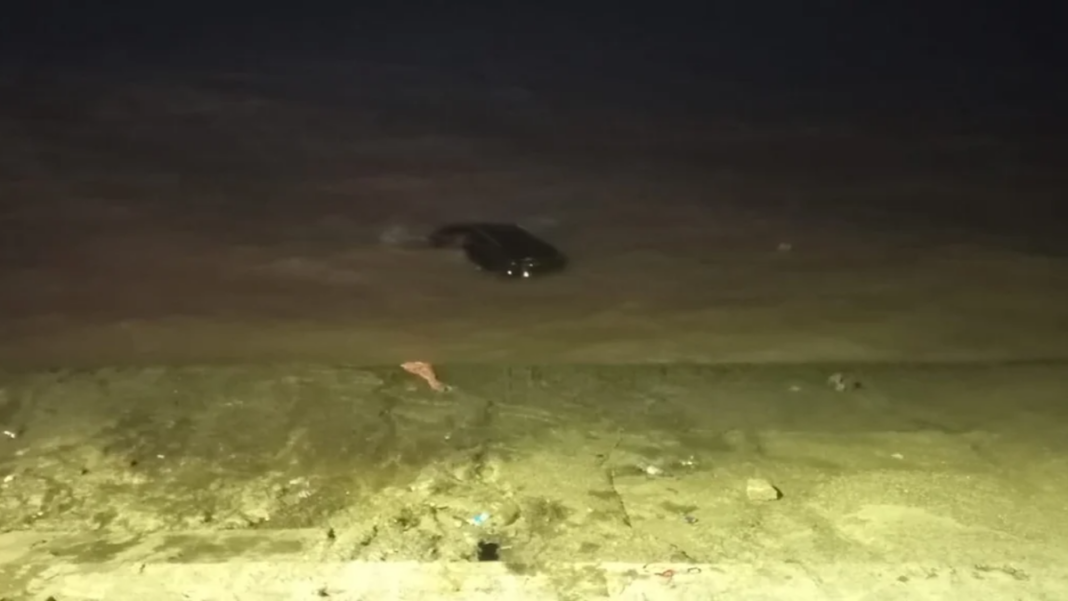 Operativo de rescate en la Costanera de Buenos Aires tras la caída de una camioneta al Río de la Plata.