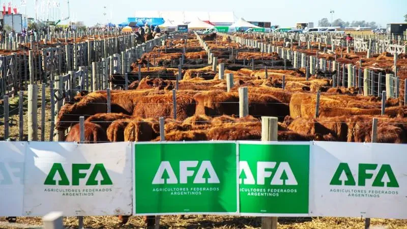 Vista general del predio de Agroactiva con corrales y pabellones ganaderos