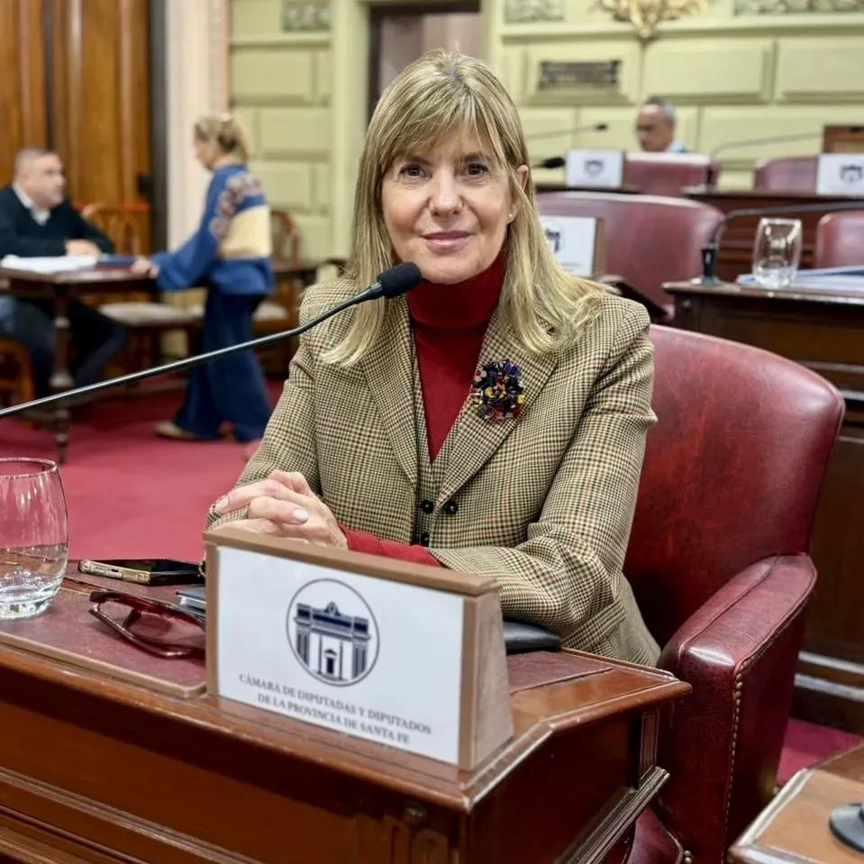 Sesión de la Cámara de Diputados de Santa Fe