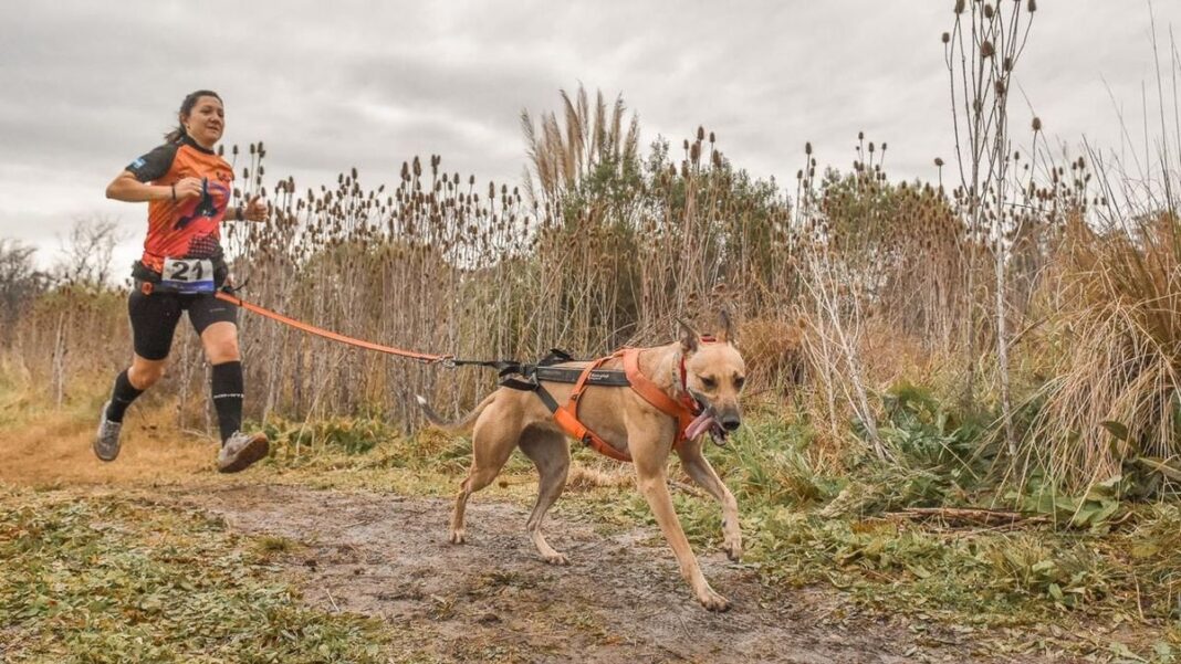 Personas corriendo con sus perros en canicross frente al Monumento a la Bandera en Rosario