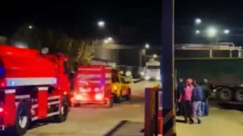 Planta de Nueva Vicentin en San Lorenzo tras el incendio