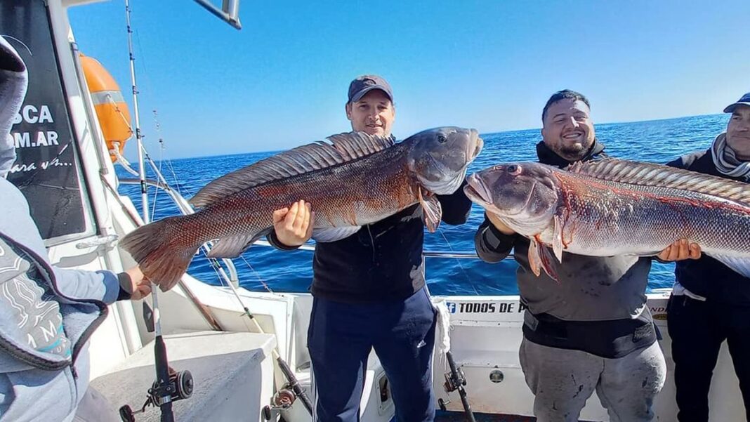 Embarcación de pesca deportiva navegando en el mar frente a la costa de Mar del Plata