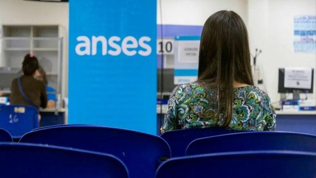 Persona consultando información sobre asignaciones familiares en ANSES