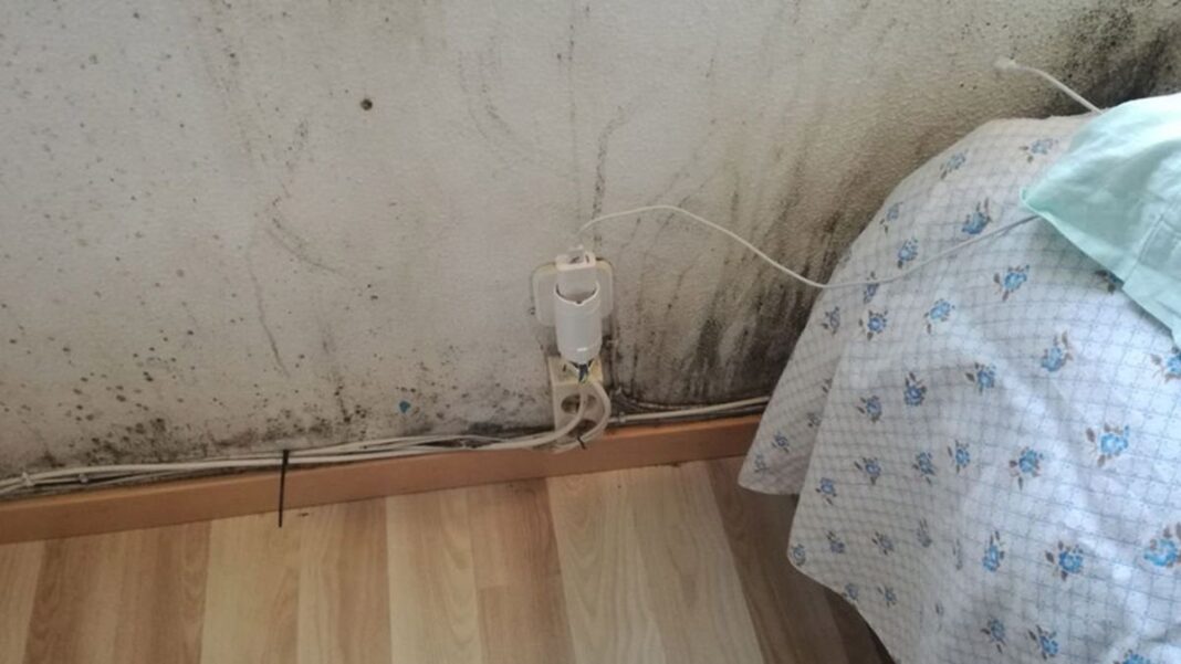 Pared con mancha de humedad siendo limpiada con un paño