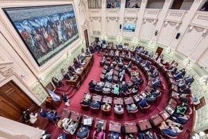 Sesión de la Cámara de Diputados de Santa Fe con colegas profesionales presentes