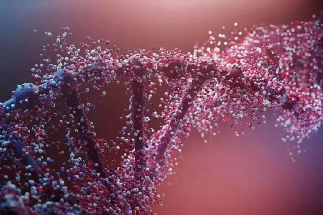 Representación gráfica de un cromosoma y moléculas de ADN