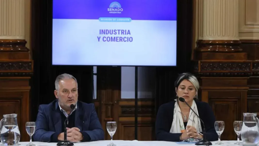 Senador Marcelo Lewandowski en el Senado de la Nación
