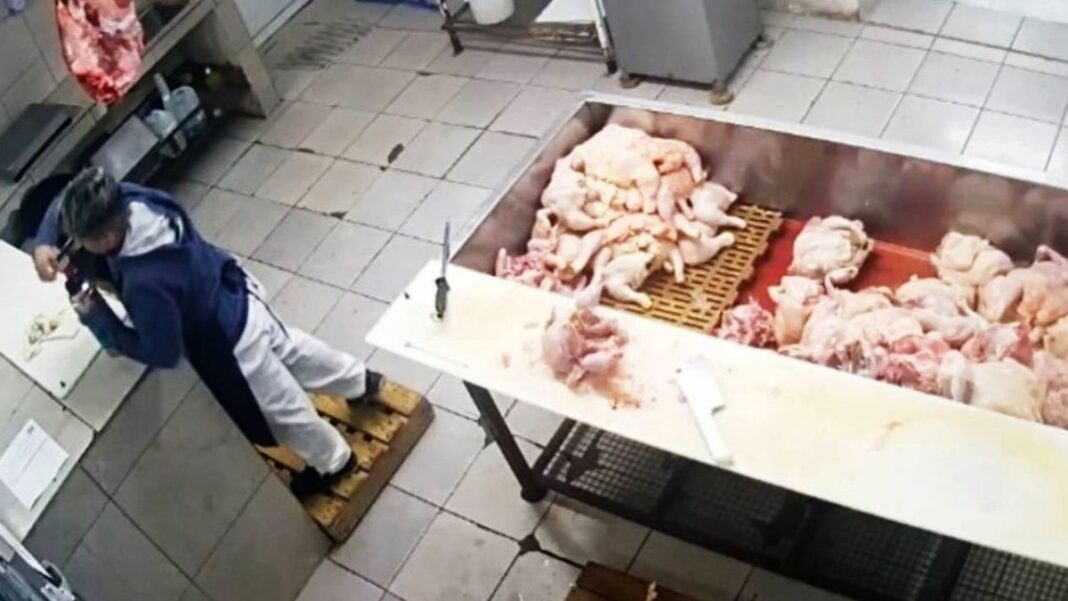 Cámaras de seguridad de una carnicería en Corral de Bustos