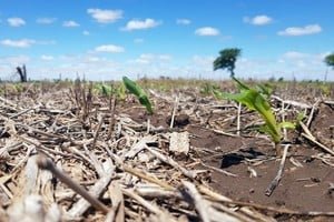Ministro Enrique Estévez durante la exposición del plan de cambio climático en Santa Fe