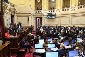 Senado de la Nación durante la sesión de media sanción del acuerdo con bonistas