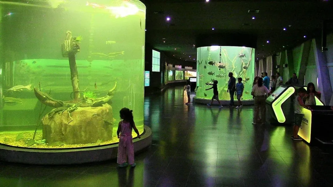 Acuario del Río Paraná cerrado por mantenimiento