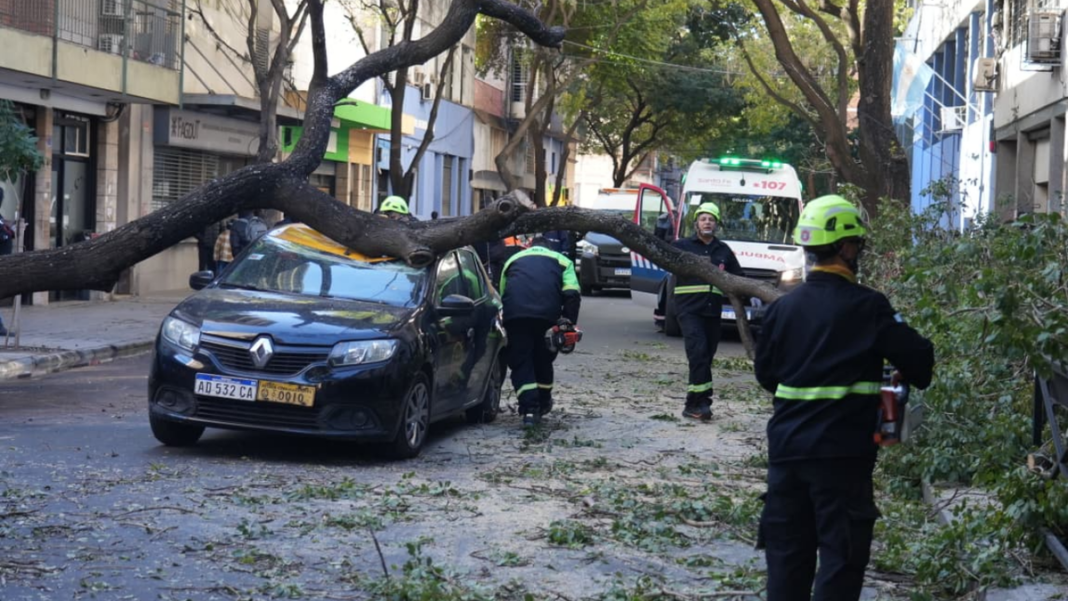 Árbol caído sobre un taxi en la calle Zeballos al 1300 en Rosario