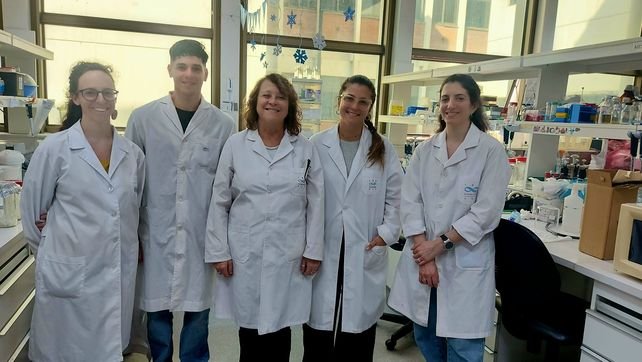 Investigadores del IBR trabajando en el desarrollo del test rápido de dengue