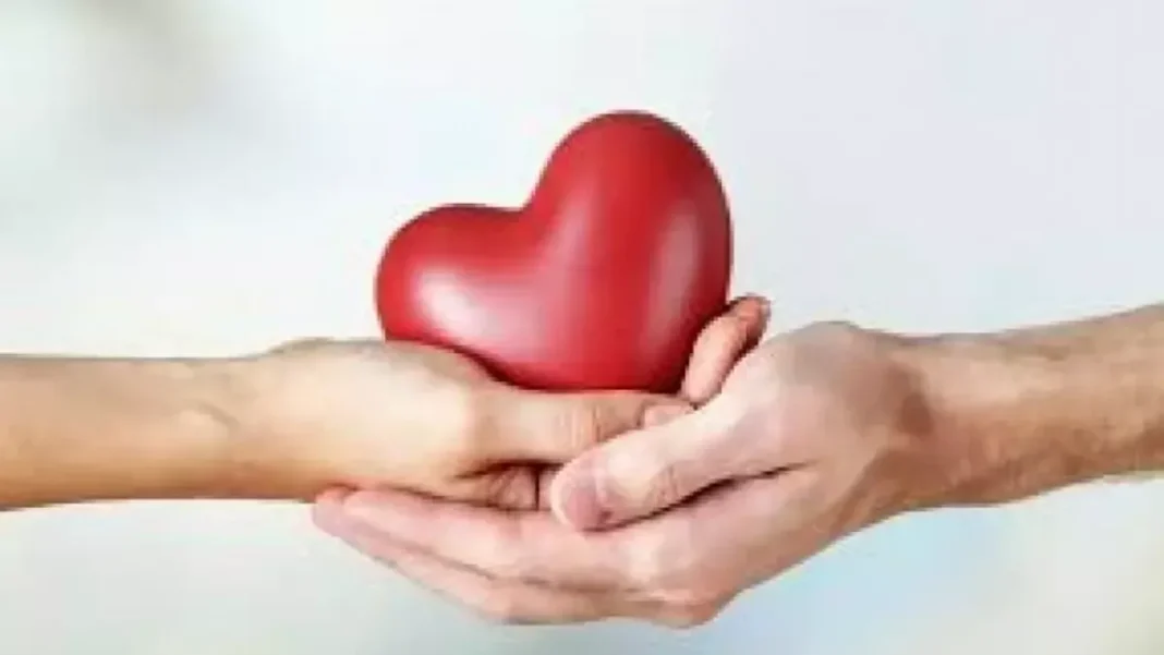 Corazón humano con estetoscopio en el Día Mundial del Corazón