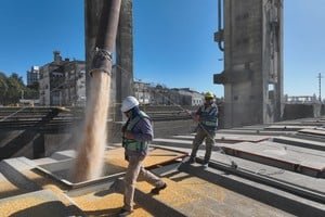 Gráfico de barras que muestra la evolución del superávit comercial proyectado para Argentina en 2026