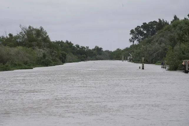 Vista del río Paraná en la costa santafesina con niveles de agua en ascenso