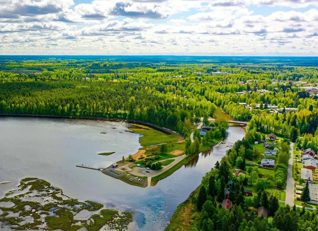 Bosque nativo en Finlandia talado para la construcción de un centro de datos de Google