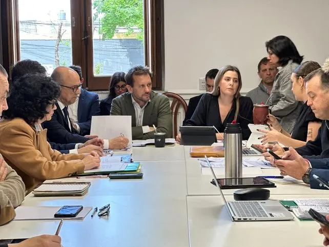 Sesión en el Senado de Santa Fe