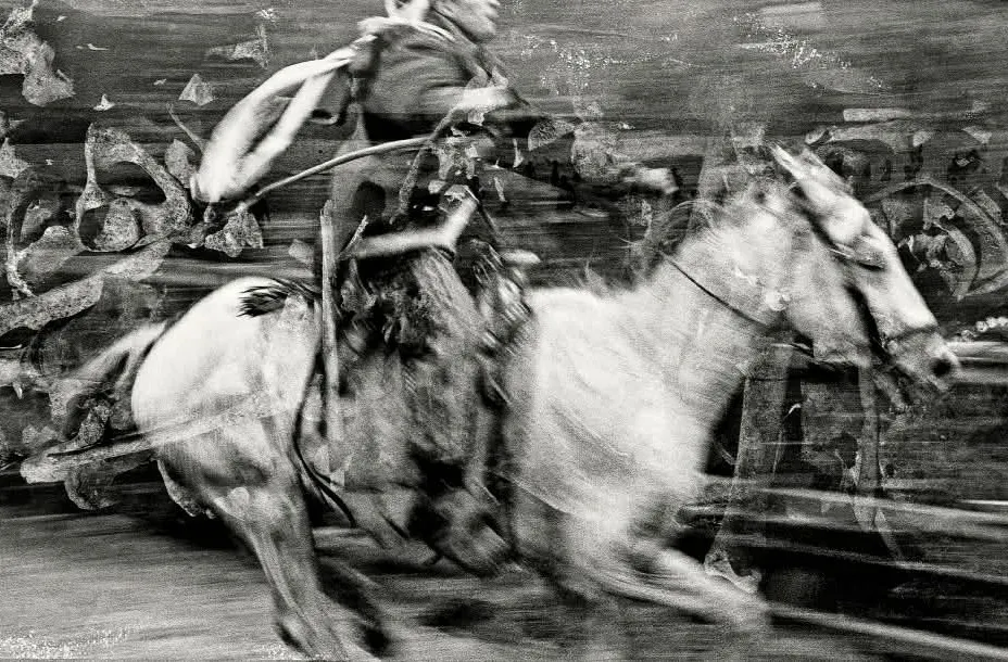 Fotografía panorámica de la muestra 